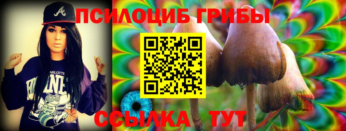 где купить   Вход с VPN  Зеленогорск  Псилоцибиновые грибы Psilocybine cubensis 